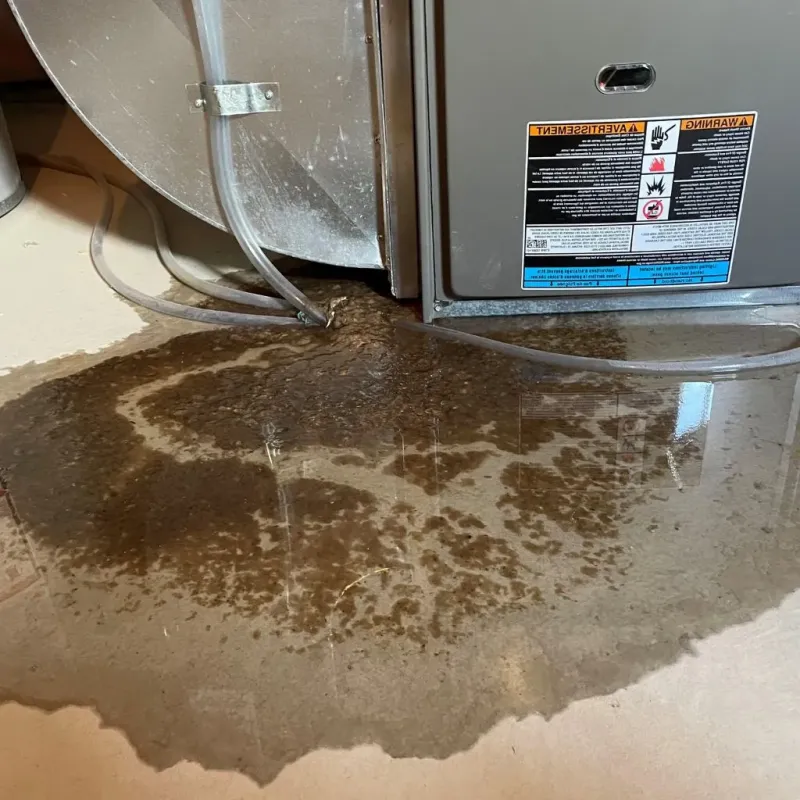 Pipe Burst and Leak Restoration in Buckhannon, WV
