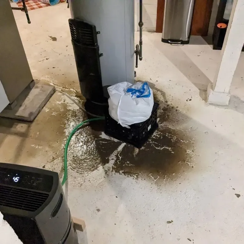 Sewage Backup Cleanup Service in Buckhannon, WV